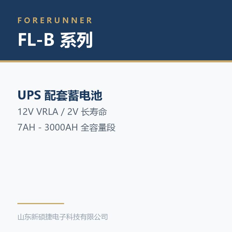 FL-B 系列 12V 阀控式铅酸蓄电池(淄博淄川区UPS电源)