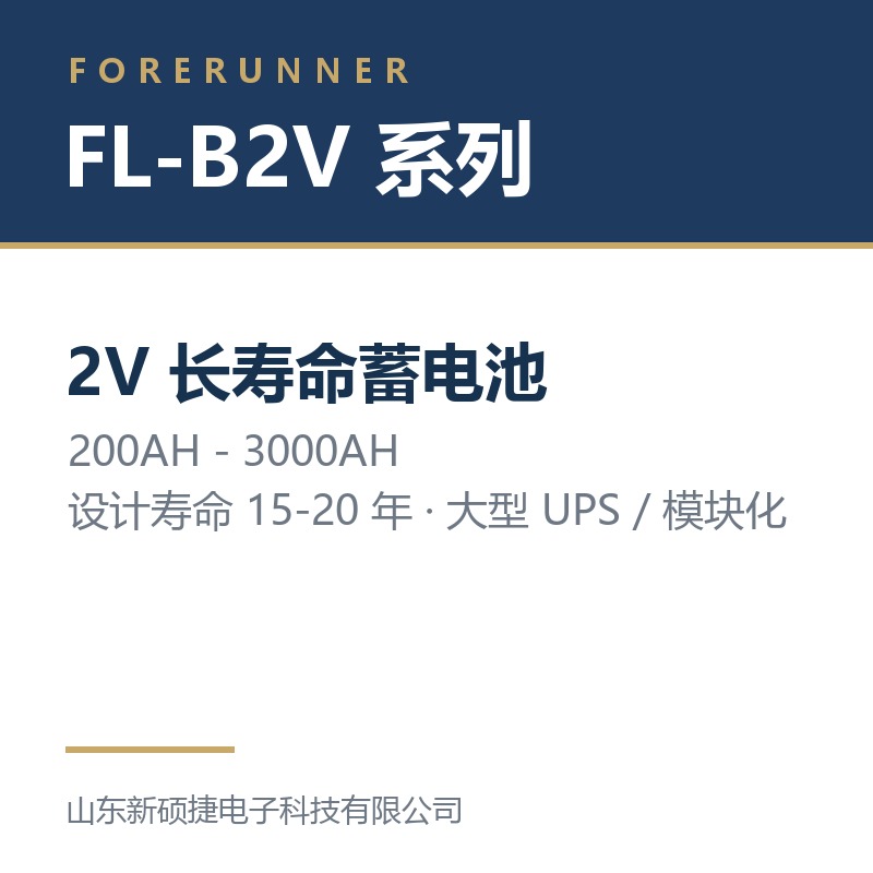 FL-B2V 系列 2V 长寿命蓄电池（淄博淄川区UPS电源）